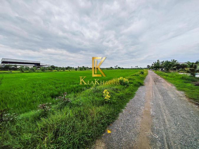รูป ขายด่วน! ที่ดิน 14 ไร่ ติดถนนศาลายา นครชัยศรี - รูปที่ 4/5