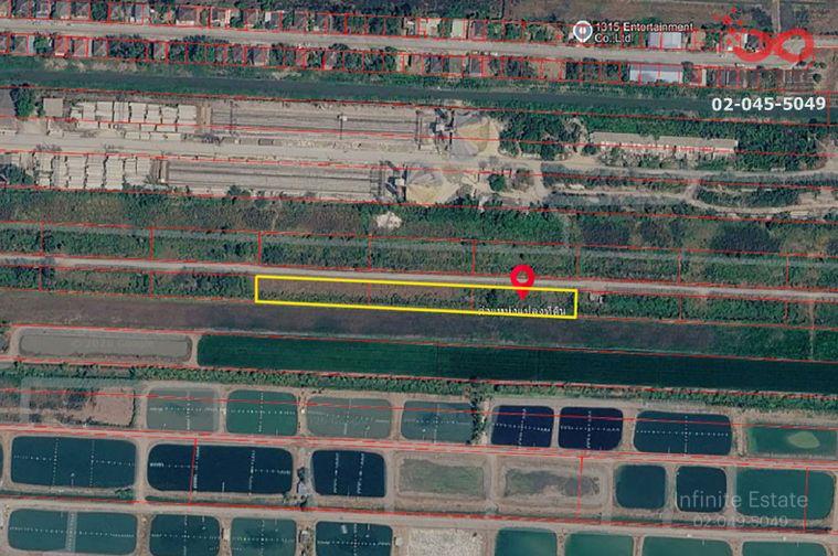 รูป ขายที่ดิน 3 ไร่ ลำลูกกา คลอง 12 ปทุมธานี ใกล้สนามกอล์ฟเรนวูดปาร์ค แปลงสวย - รูปที่ 4/4