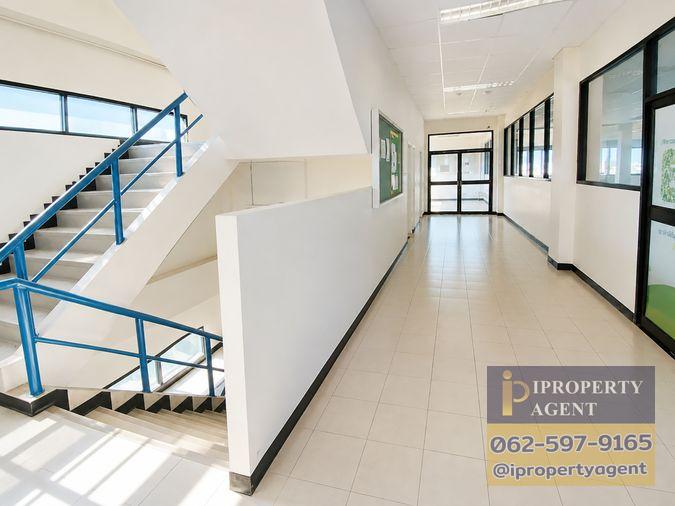 picture For sale, office building, Hat Yai, Songkhla - 18/28