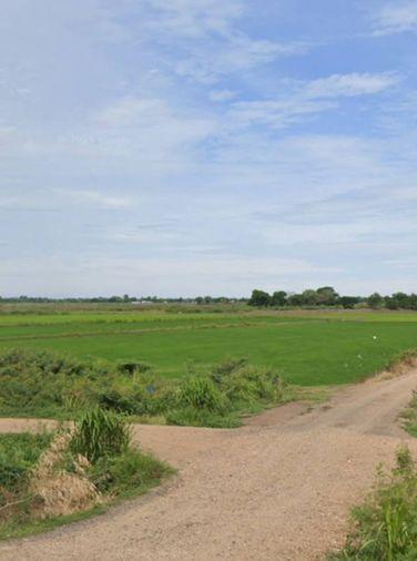 รูป Vาย ที่ดิน 24 ไร่ จ.พระนครศรีอยุธยา ไร่ละ 300,000 บ. ต. บ้านขวาง ต. น้ำเต้า อ. มหาราช (ถ.ทางหลวง 3267 อ่างทอง - ท่าเรือ 2 กม. ) - รูปที่ 4/8