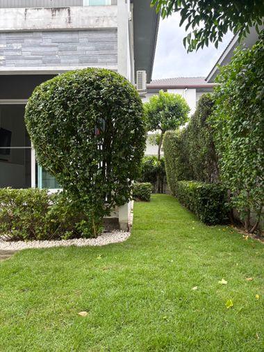 รูป ให้เช่า บ้านเดี่ยวโครงการ มัณฑนา อ่อนนุช วงแหวน5 GH654 - รูปที่ 2/24