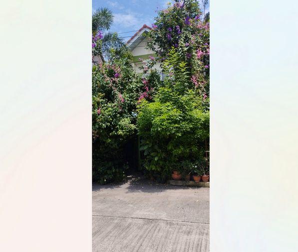 รูป Call : 081-692-3536 หมู่บ้านพนาสนธิ์ การ์เด้นโฮม 8 ซอยนิมิตรใหม่ 12 เขตคลองสามวา (พร้อมผู้เช่า) บ้านเดี่ยว 50 ตารางวา 3 นอน 2 น้ำ ใกล้ตลาดมีนบุรี - รูปที่ 4/8