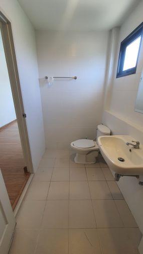 picture Single house for rent, Centro Ratchaphruek Suan Phak. ready to move in  - 12/47