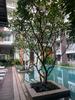 listing thumbnail image 32