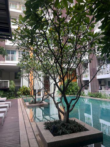 picture Spacious one bedroom, large living area, 56 sqm - 33/36