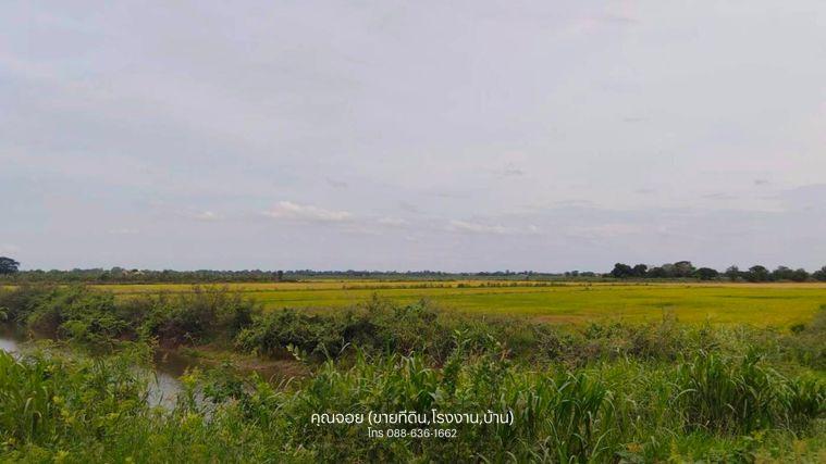 รูป (ที่ดิน แปลงใหญ่ 6 ลบ.) ไม่ไกลจากกรุงเทพ จ.พระนครศรีอยุธยา ต. บ้านขวาง ต. น้ำเต้า อ. มหาราช อ่างทอง-ท่าเรือ - รูปที่ 2/11