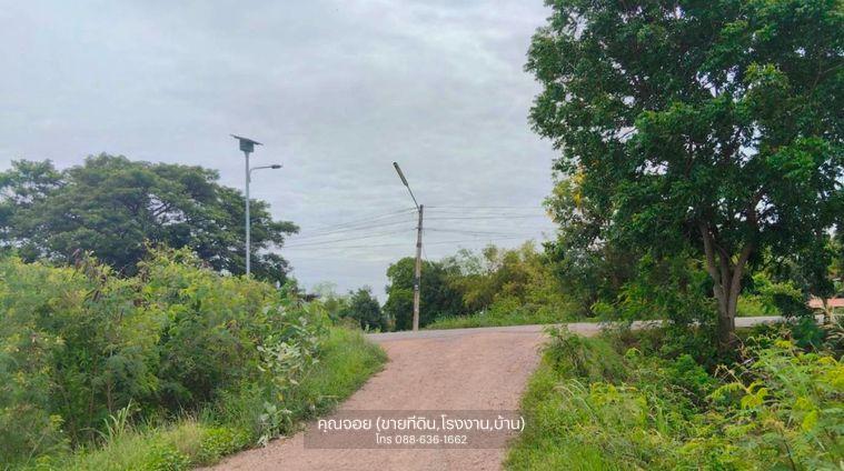 รูป (ที่ดิน แปลงใหญ่ 6 ลบ.) ไม่ไกลจากกรุงเทพ จ.พระนครศรีอยุธยา ต. บ้านขวาง ต. น้ำเต้า อ. มหาราช อ่างทอง-ท่าเรือ - รูปที่ 4/11
