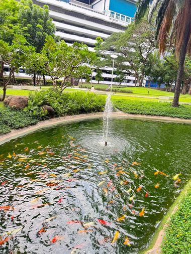 รูป 🏢 ขายคอนโด : THE LINE Phahonyothin Park (เดอะ ไลน์ พหลโยธิน พาร์ค)   รหัสทรัพย์ | 📌LNP-C14535  - รูปที่ 8/9