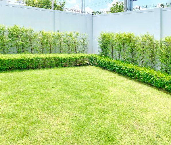 รูป  ขายบ้านเดี่ยวแปลงริม  บางกอกบูเลอวาร์ด ซิกเนเจอร์ เวสต์เกต 115.1 ตรว. 4 นอน 5น้ำ   แปลงใหญ่พื้นที่ใช้ 439 ตรม. เจ้าของไม่เคยอยู่   บนถนน กาญจนาภิเษก - รูปที่ 6/30