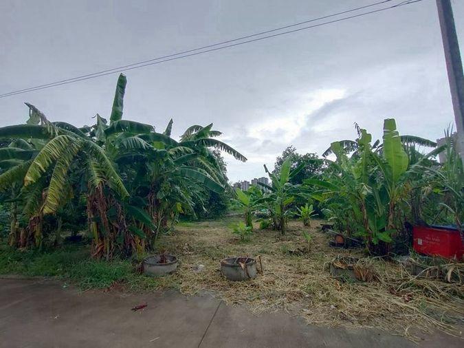 รูป ขายที่ดินเปล่า 100 ตรว. ซอยงบประมาณ ปากเกร็ด นนทบุรี - รูปที่ 1/5