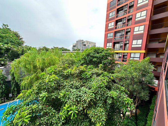 picture 🏢 Condo for Rent: THE MUVE Sukhumvit 107   Property Code | LNP-C14579  - 10/11