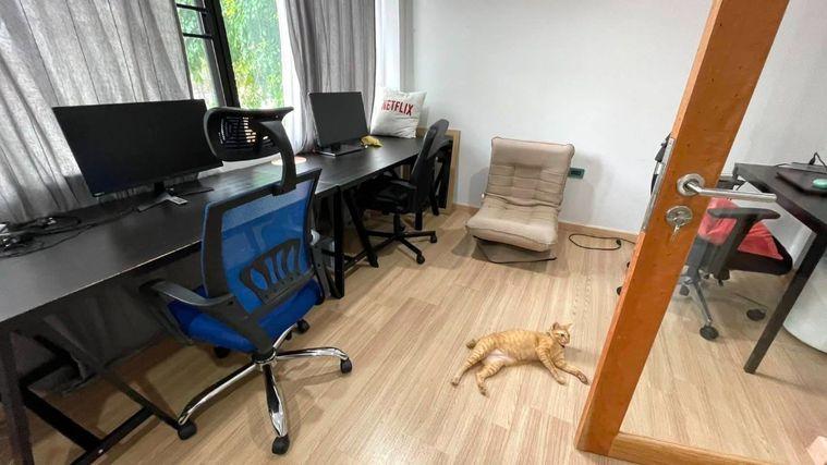 รูป ขาย ทาวน์โฮม 3.5 ชั้น Haus Niche แจ้งวัฒนะ–สามัคคี 29 บ้านทำเลดี ใกล้โรงเรียนนานาชาติ  (TH6931) - รูปที่ 9/27