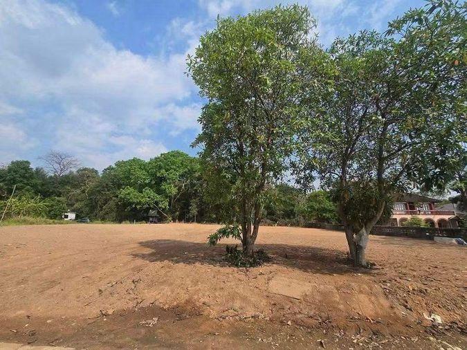 รูป ขายที่ดินทำเลทอง หน้าม.ราชมงคลตะวันออก บางพระ ศรีราชา เหมาะลงทุน - รูปที่ 5/9