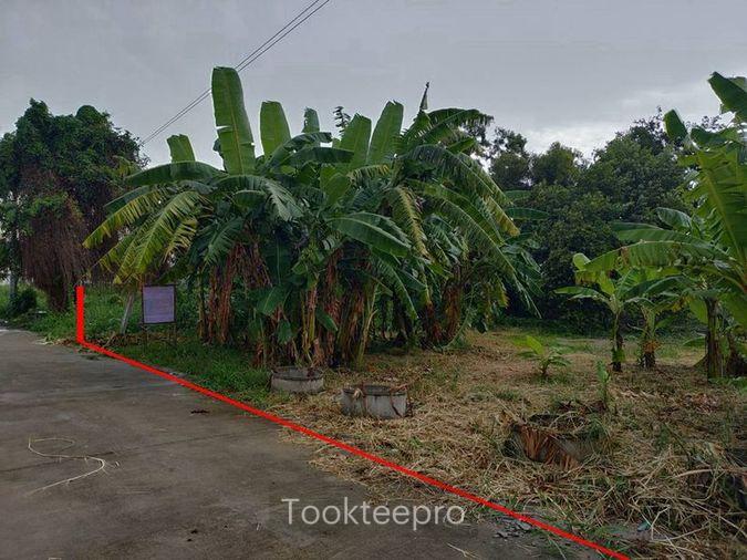 รูป ขายที่ดินเปล่า 100 ตรว. ซอยงบประมาณ ปากเกร็ด นนทบุรี - รูปที่ 3/5