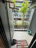 listing thumbnail image 12