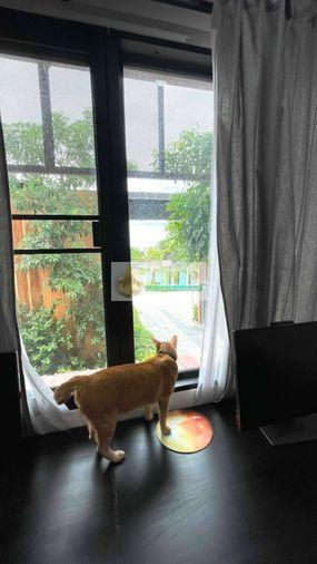 picture 🏠 House for Rent | Haus Niche Chaengwattana Property Code | LNP-H1137 - 19/29
