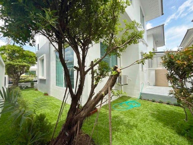 รูป ขาย บ้านเดี่ยวโครงการ กรูฟวิลล์ บางนา กม10  GH673 - รูปที่ 6/22
