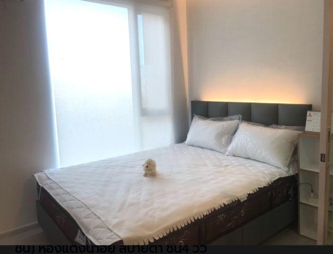 รูป 1 ห้องนอน | 1 ห้องน้ำ | ARL Ramkhamhaeng | 23 ตร.ม. | 7,500 บาท/เดือน | ชั้น 4 — Plum Condo Ramkhamhaeng กรุงเทพฯ - รูปที่ 3/7