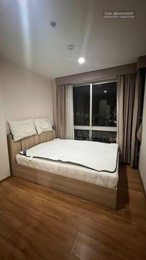 รูป 1 ห้องนอน | 1 ห้องน้ำ | BTS On Nut | 30 ตร.ม. | 14,000 บาท/เดือน | ชั้น 34 — The Base Sukhumvit 77 กรุงเทพฯ - รูปที่ 4/10