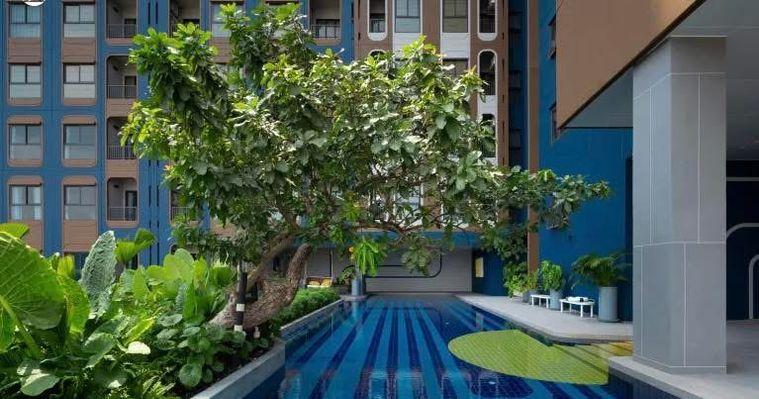 รูป 1 ห้องนอน | 1 ห้องน้ำ | BTS Phra Khanong | 45 ตร.ม. | 30,000 บาท/เดือน | ชั้น 18 — Nia By Sansiri กรุงเทพฯ - รูปที่ 2/8