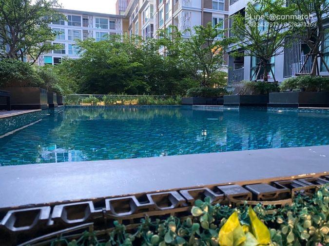 picture 1Bed | 1Bath | BTS Udom Suk | 29sqm | THB 9,900/mo | Fl.3 — The Excel Udomsuk Bangkok - 10/10
