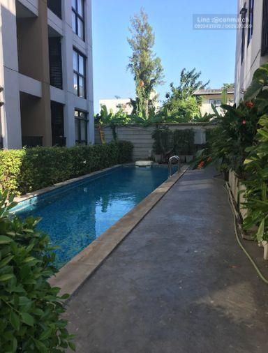 รูป 1 ห้องนอน | 1 ห้องน้ำ | BTS Lat Phrao | 30 ตร.ม. | 10,000 บาท/เดือน | ชั้น 3 — Clover Ladprao 83 กรุงเทพฯ - รูปที่ 4/10
