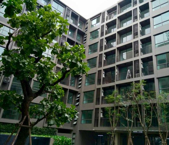รูป 1 ห้องนอน | 1 ห้องน้ำ | BTS Punnawithi | 33 ตร.ม. | 16,000 บาท/เดือน | ชั้น 4 — The Tree Sukhumvit 64 กรุงเทพฯ - รูปที่ 1/9