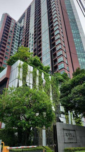 รูป 1 ห้องนอน | 1 ห้องน้ำ | BTS Phra Khanong | 32 ตร.ม. | 18,000 บาท/เดือน | ชั้น 23 — Wyne Sukhumvit กรุงเทพฯ - รูปที่ 1/8