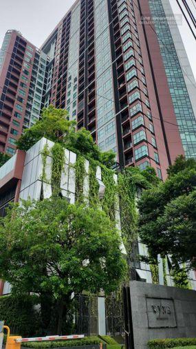 รูป 1 ห้องนอน | 1 ห้องน้ำ | BTS Phra Khanong | 32 ตร.ม. | 18,000 บาท/เดือน | ชั้น 23 — Wyne Sukhumvit กรุงเทพฯ - รูปที่ 1/8