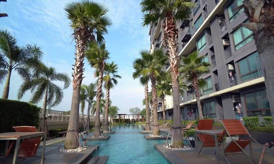 รูป 1 ห้องนอน | 1 ห้องน้ำ | MRT Phra Ram 9 | 31 ตร.ม. | 15,000 บาท/เดือน | ชั้น 22 — Casa Condo Asoke-Din Daeng กรุงเทพฯ - รูปที่ 6/10