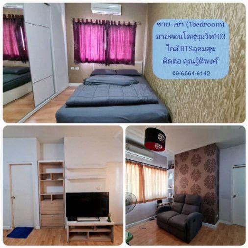 รูป 1 ห้องนอน | 1 ห้องน้ำ | BTS On Nut | 35 ตร.ม. | 8,000 บาท/เดือน | ชั้น 7 — My Condo Sukhumvit 103 กรุงเทพฯ - รูปที่ 10/10