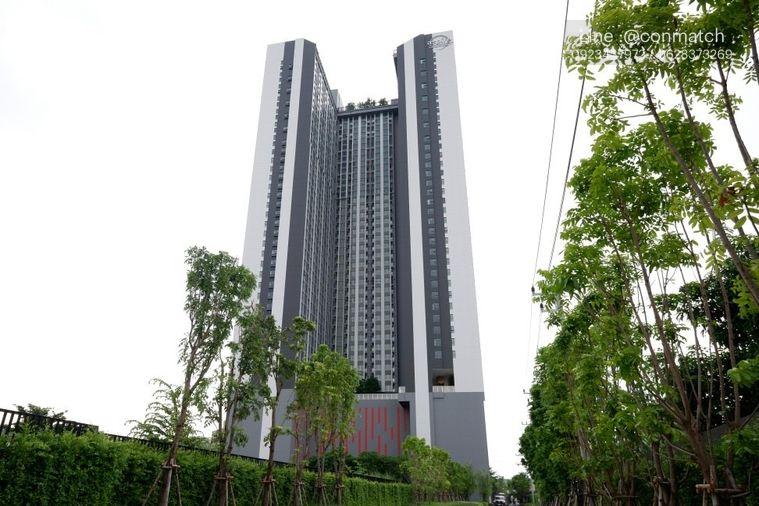รูป 1 ห้องนอน | 1 ห้องน้ำ | BTS Phra Khanong | 32 ตร.ม. | 18,000 บาท/เดือน | ชั้น 14 — Aspire Sukhumvit-Rama 4 กรุงเทพฯ - รูปที่ 2/10