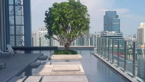 picture 1Bed | 1Bath | BTS Surasak | 52sqm | THB 40,000/mo | Fl.20 — Diplomat Sathorn Bangkok - 4/5