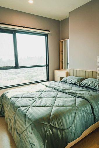 รูป 3 ห้องนอน | 3 ห้องน้ำ | BTS Khu Khot | 212 ตร.ม. | 38,000 บาท/เดือน | ชั้น 1 — The Tree Sukhumvit 71-Ekamai กรุงเทพฯ - รูปที่ 1/10