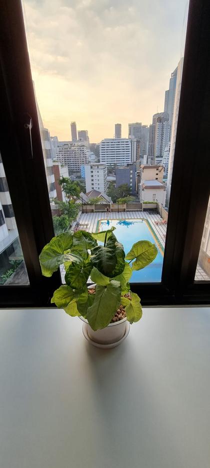 picture 1Bed | 1Bath | BTS Nana | 67sqm | THB 22,000/mo | Fl.11 — Omni Tower Bangkok - 3/10