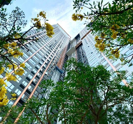 รูป 1 ห้องนอน | 1 ห้องน้ำ | MRT Huai Khwang | 31 ตร.ม. | 18,000 บาท/เดือน | ชั้น 15 — XT Huaikhwang กรุงเทพฯ - รูปที่ 1/8