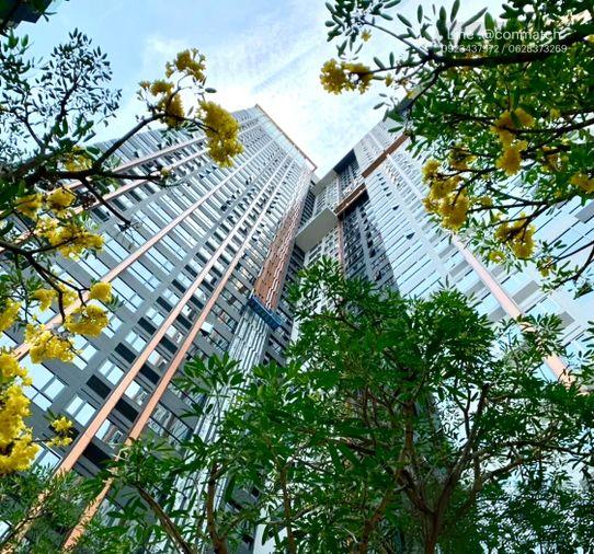 รูป 1 ห้องนอน | 1 ห้องน้ำ | MRT Huai Khwang | 31 ตร.ม. | 18,000 บาท/เดือน | ชั้น 15 — XT Huaikhwang กรุงเทพฯ - รูปที่ 1/8