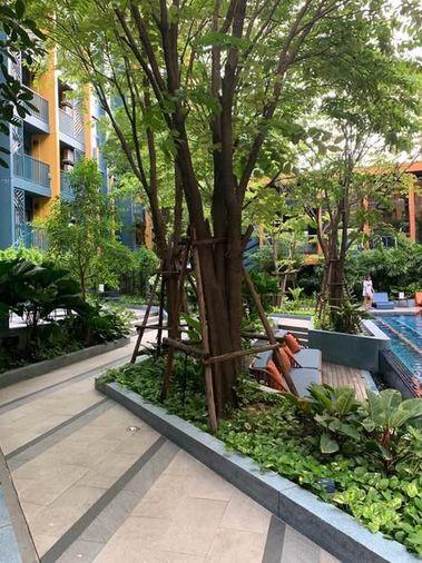 รูป สตูดิโอ | 1 ห้องน้ำ | BTS Phra Khanong | 26 ตร.ม. | 15,000 บาท/เดือน | ชั้น 5 — Base Sukumvit 50 Condominium กรุงเทพฯ - รูปที่ 5/5
