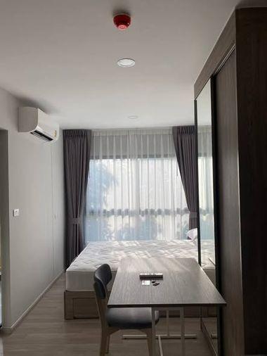 รูป 1 ห้องนอน | 1 ห้องน้ำ | BTS Bang Chak | 23 ตร.ม. | 10,000 บาท/เดือน | ชั้น 3 — Plum Condo Sukhumvit 97.1 กรุงเทพฯ - รูปที่ 5/5