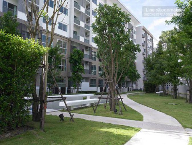 picture 1Bed | 1Bath | BTS Udom Suk | 35sqm | THB 15,000/mo | Fl.1 — A Space Me Sukhumvit 77 Bangkok - 6/10