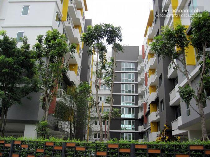 รูป 1 ห้องนอน | 1 ห้องน้ำ | BTS On Nut | 35 ตร.ม. | 15,000 บาท/เดือน | ชั้น 2 — My Condo Sukhumvit 81 กรุงเทพฯ - รูปที่ 2/10