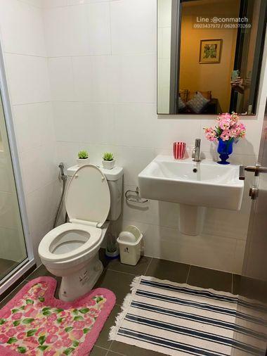 รูป 1 ห้องนอน | 1 ห้องน้ำ | BTS On Nut | 31 ตร.ม. | 13,000 บาท/เดือน | ชั้น 5 — The Base Park East Sukhumvit 77 กรุงเทพฯ - รูปที่ 1/4