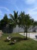 listing thumbnail image 26