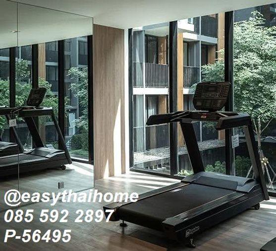รูป 🔥 คอนโดใกล้ BTS เอกมัย ให้เช่า! Noble Ambience Sukhumvit 42 [P-56495] 1 ห้องนอน ชั้น 3 วิวสวน | Line@easythaihome 085-592-2897 - รูปที่ 8/11