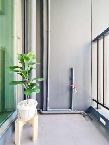 รูป 📣ให้เช่าคอนโด Plum Condo Sukhumvit 62 (BTS บางจาก) ห้องสวย เฟอร์ครบ @onestepliving - รูปที่ 14/15
