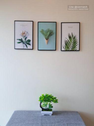 รูป 1 ห้องนอน | 1 ห้องน้ำ | BTS Phra Khanong | 26.68 ตร.ม. | 14,000 บาท/เดือน | ชั้น 12 — The Tree Sukhumvit 71-Ekamai Sukhumvit 71-Ekkamai - รูปที่ 4/5