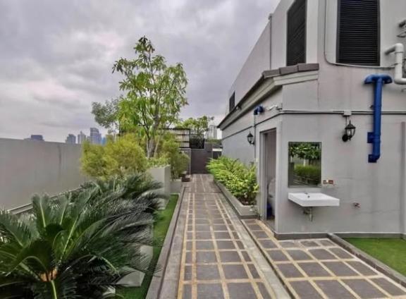 picture 1Bed | 1Bath | BTS Ekkamai | 32sqm | THB 25,000/mo | Fl.3 — The Ace Ekamai Ekkamai - 4/5