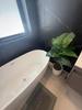 listing thumbnail image 51