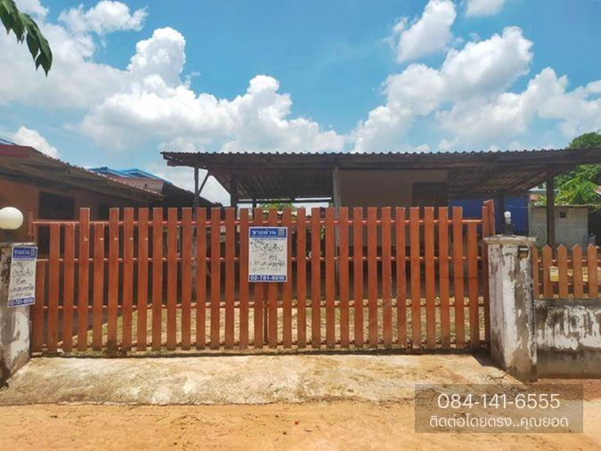รูป AL-4-0586|บ้านเดี่ยว 1 ชั้น ขอนแก่น-ยางตลาด (12) ต. ยางตลาด อ.ยางตลาด จ.กาฬสินธุ์ (ราคา 350,000 บาท ) - รูปที่ 2/14