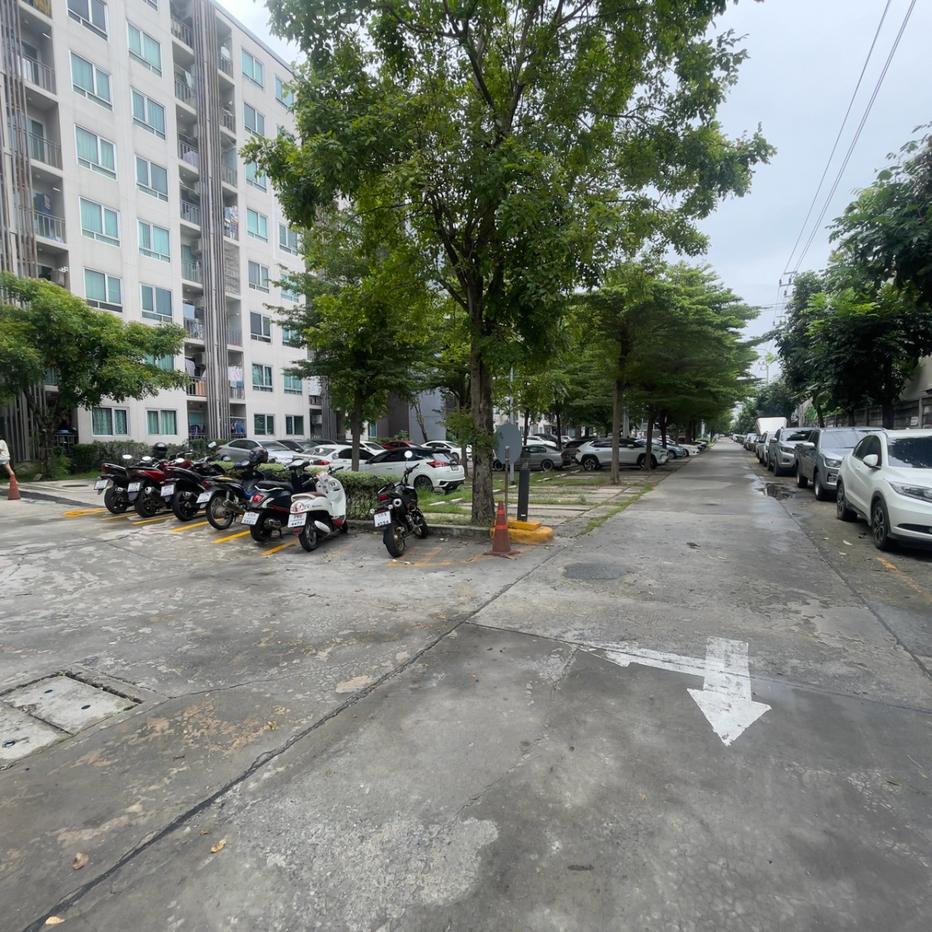 รูป BG 5252 : Arkhom ไอริส แอเวนิว - รูปที่ 4/21